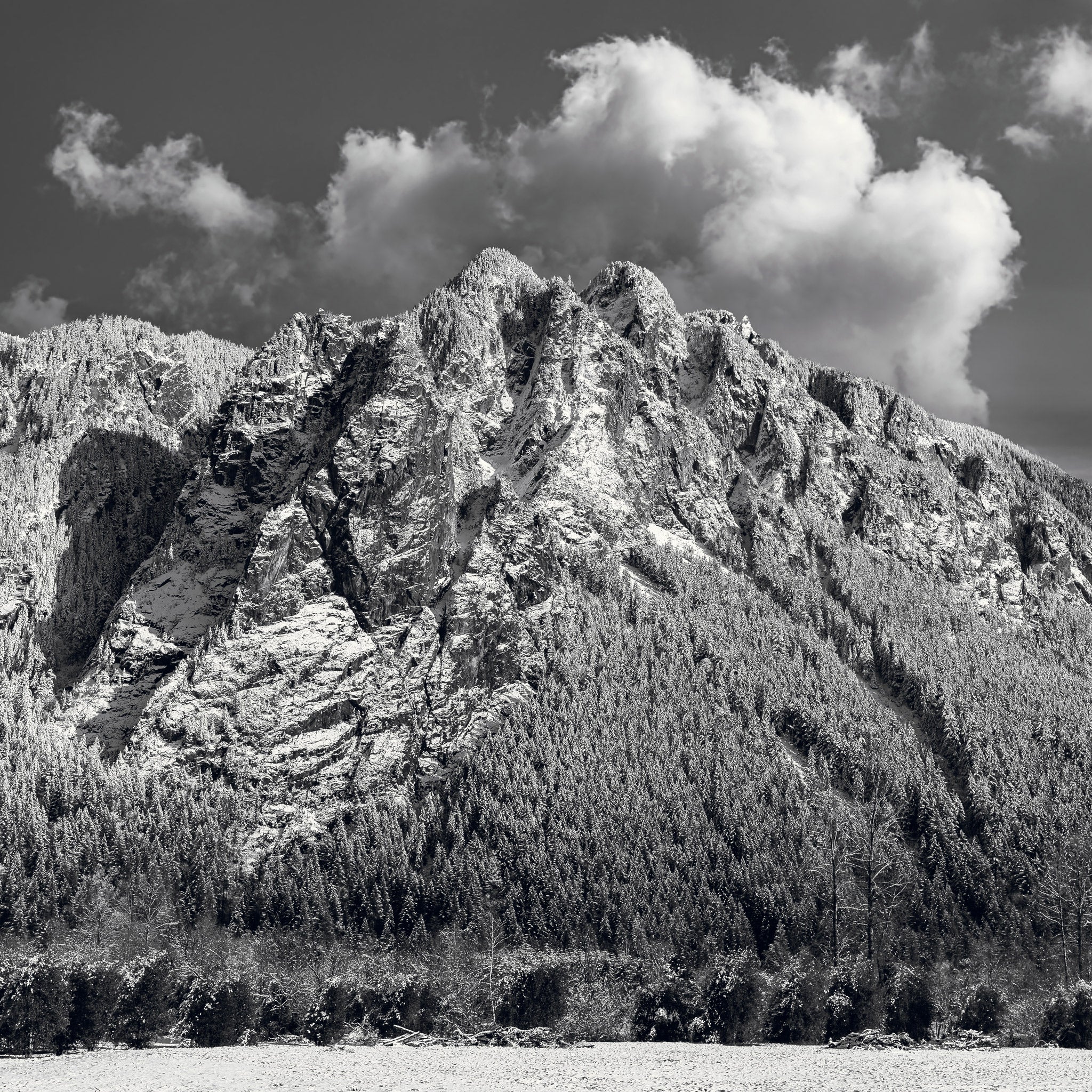 Nubibus Acervos - Snoqualmie, WA