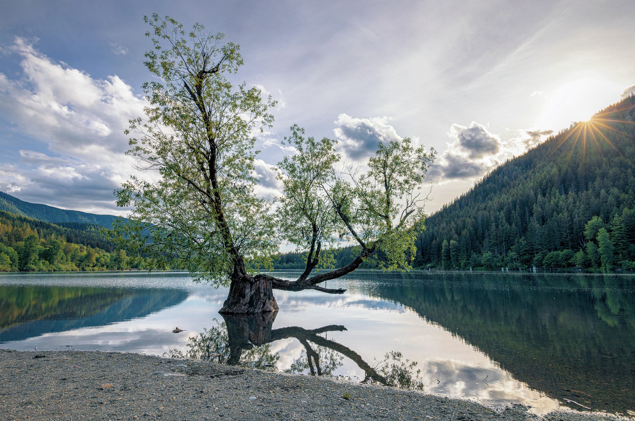 Iluminado - Rattlesnake Lake, WA